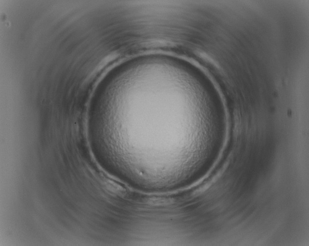 X0000067941305200604272024