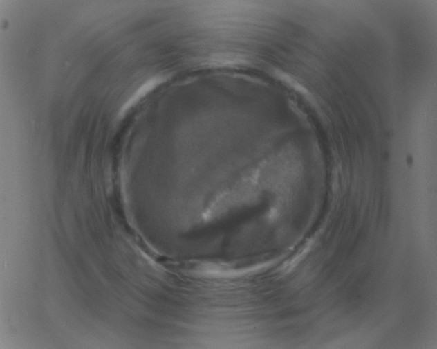 X0000067941306200604272024