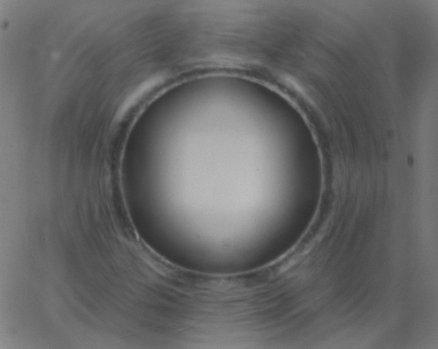 X0000067941307200604272024
