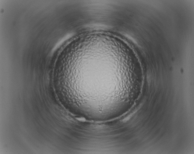 X0000067941309200604272024