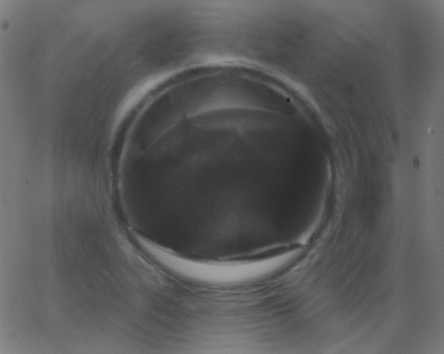 X0000067941319200604272024