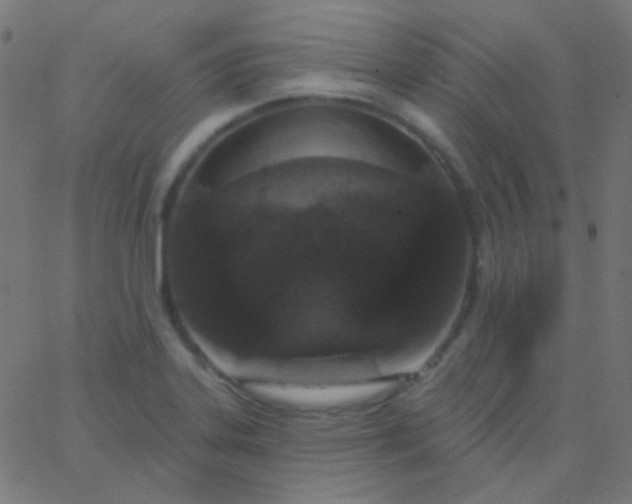 X0000067941323200604272024