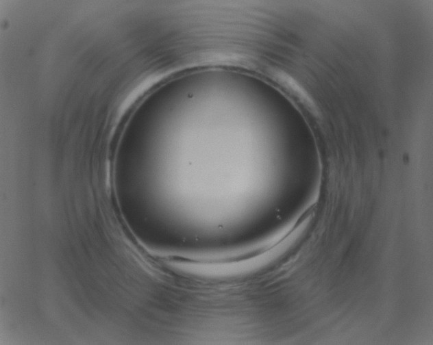 X0000067941324200604272024