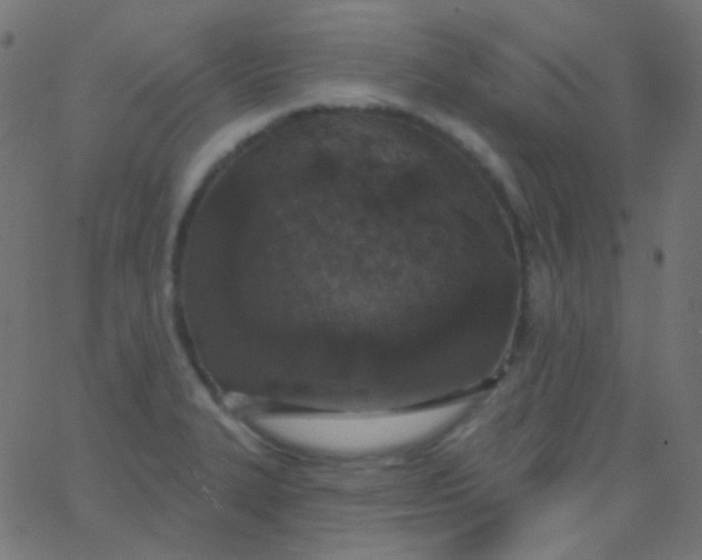 X0000067941327200604272024