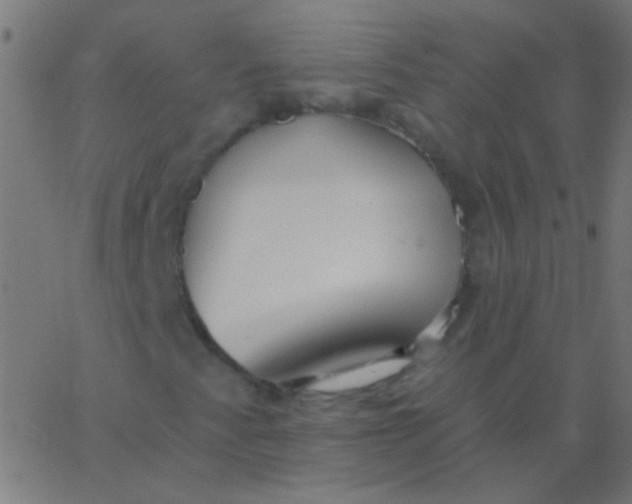 X0000067941345200604272024