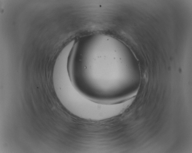 X0000067941348200604272024
