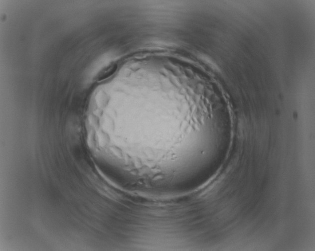 X0000067941355200604272024