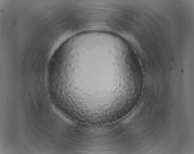 X0000067941374200604272023