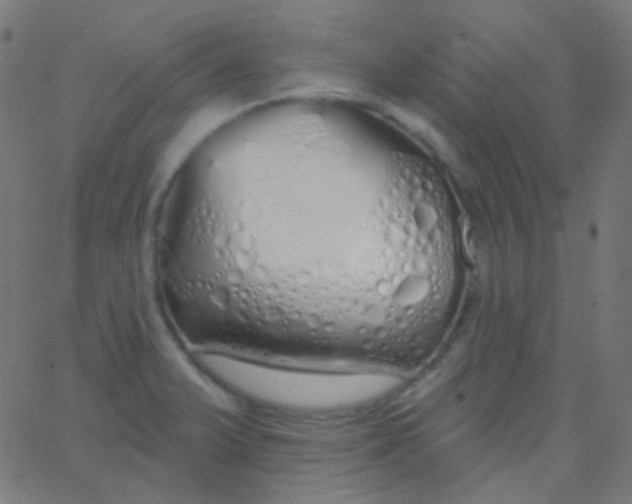 X0000067941375200604272023