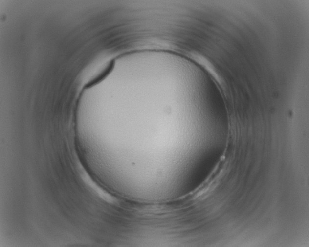 X0000067941387200604272023
