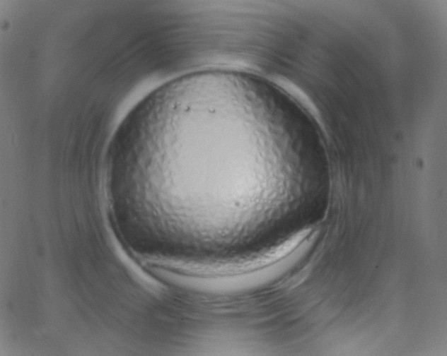 X0000067941391200604272023
