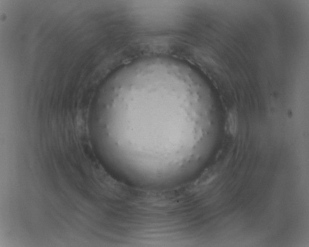 X0000067941395200604272022