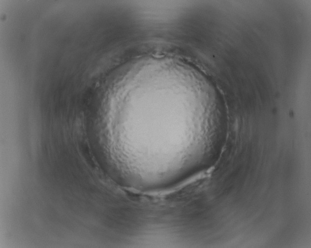 X0000067941397200604272022