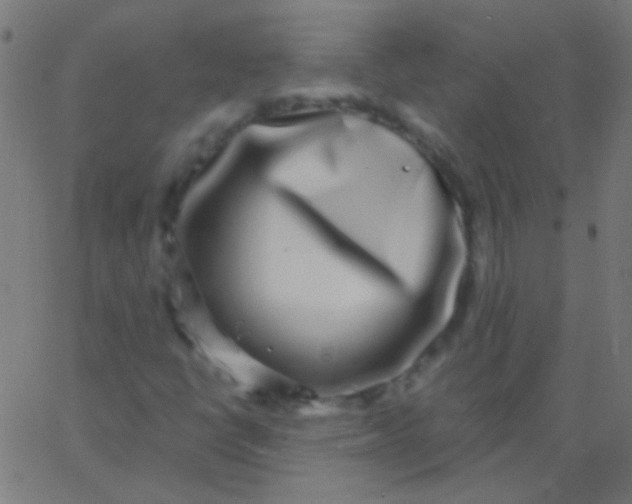 X0000067941398200604272022
