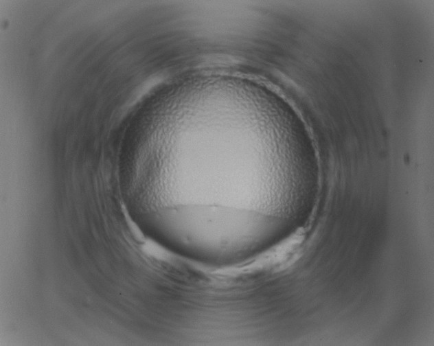 X0000067941401200604272022