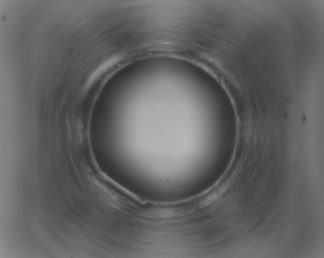 X0000067941402200604272022