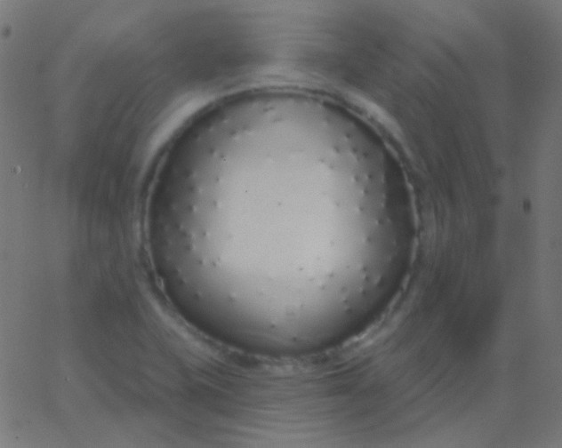 X0000067941415200604272023
