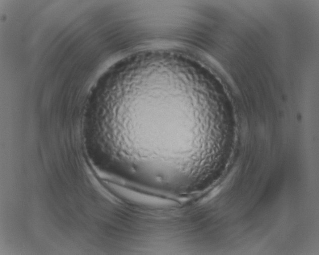 X0000067941417200604272023