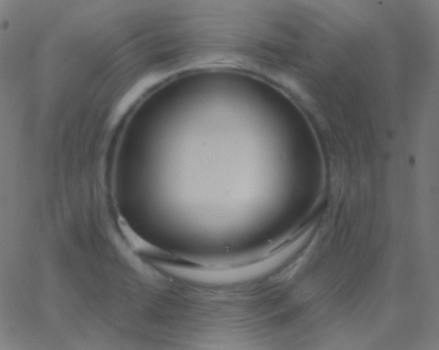 X0000067941422200604272023