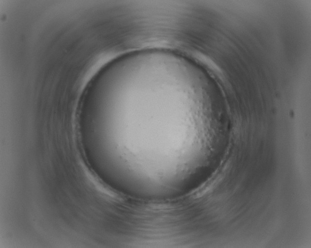 X0000067941423200604272023