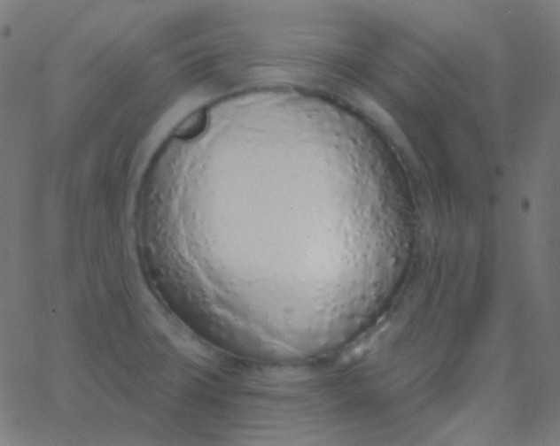 X0000067941427200604272023