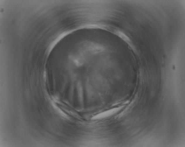 X0000067941428200604272023
