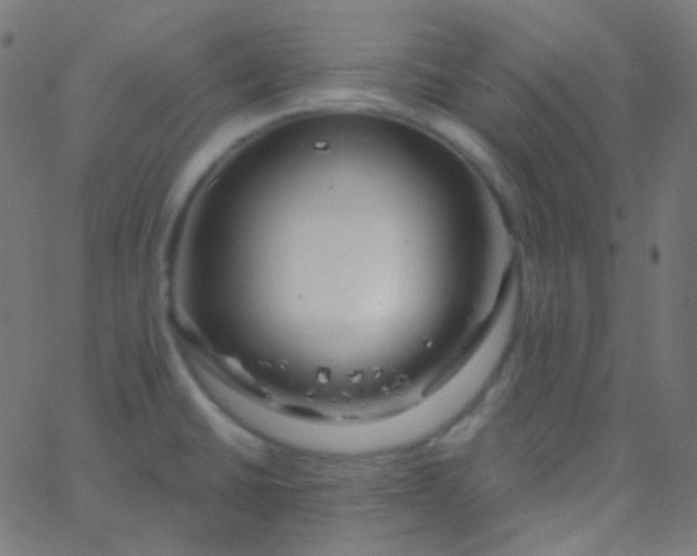 X0000067941430200604272023