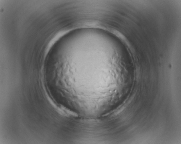 X0000067941432200604272023