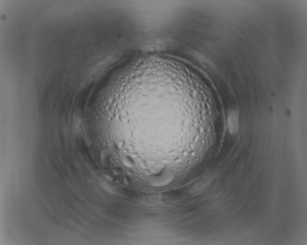 X0000067941444200604272022