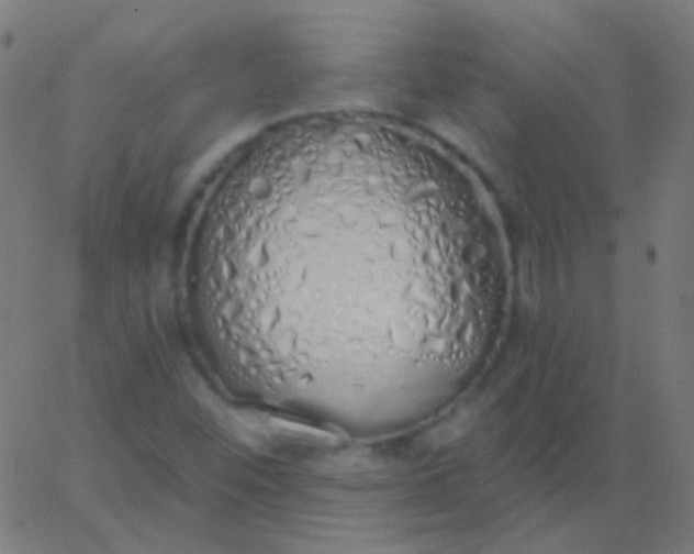 X0000067941452200604272022