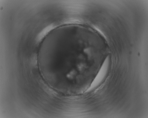 X0000067941455200604272022