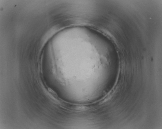 X0000067941467200604272022