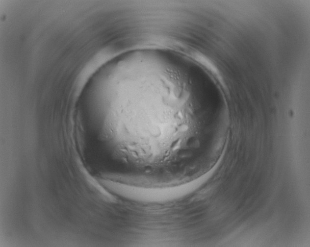 X0000067941480200604272022