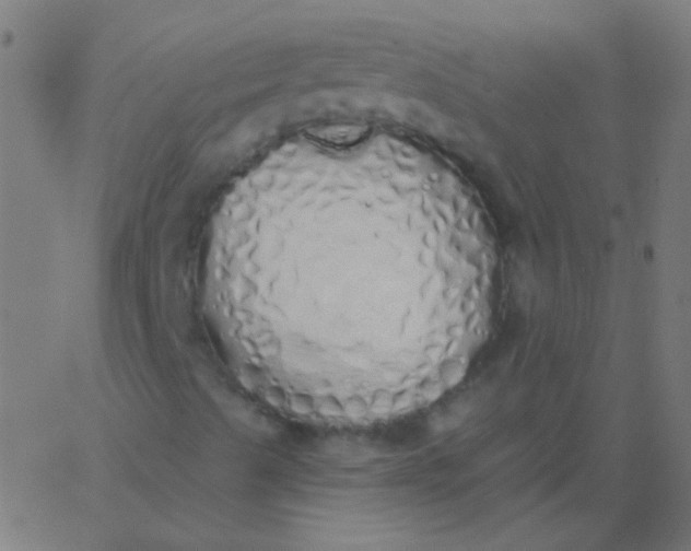 X0000067941489200604272021