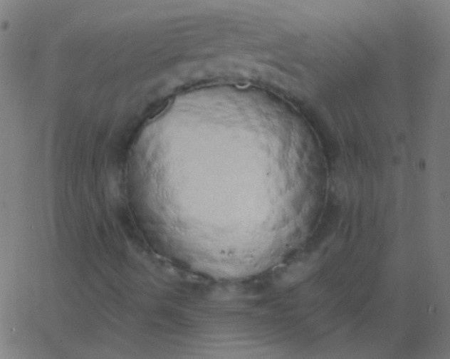 X0000067941490200604272021
