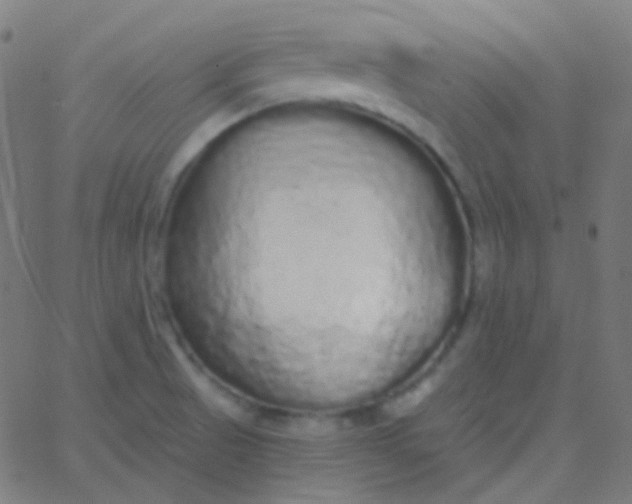 X0000067941521200604272021