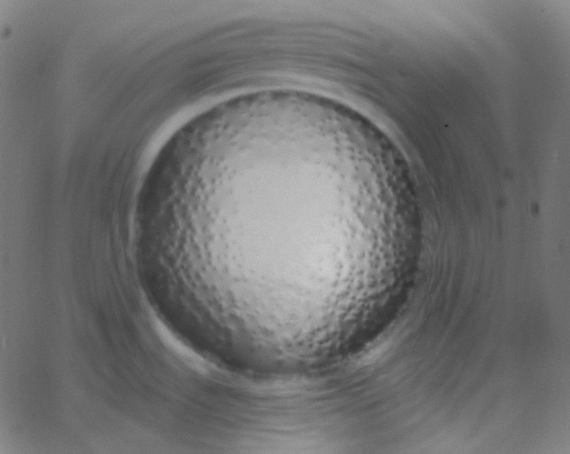 X0000067941535200604272021