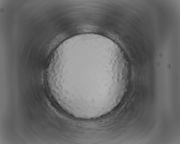 X0000067940010200605041812