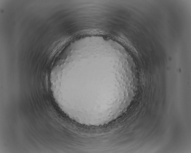 X0000067940014200605041812