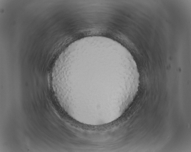 X0000067940022200605041812