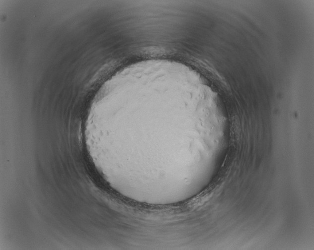 X0000067940024200605041812