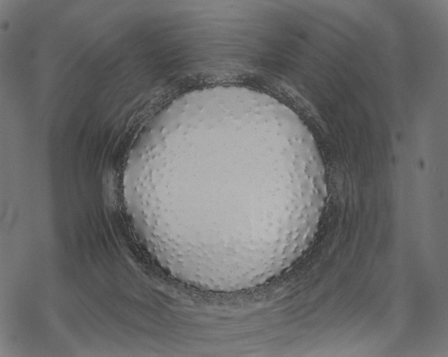 X0000067940026200605041812