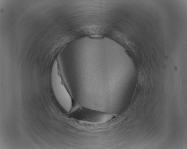 X0000067940027200605041812