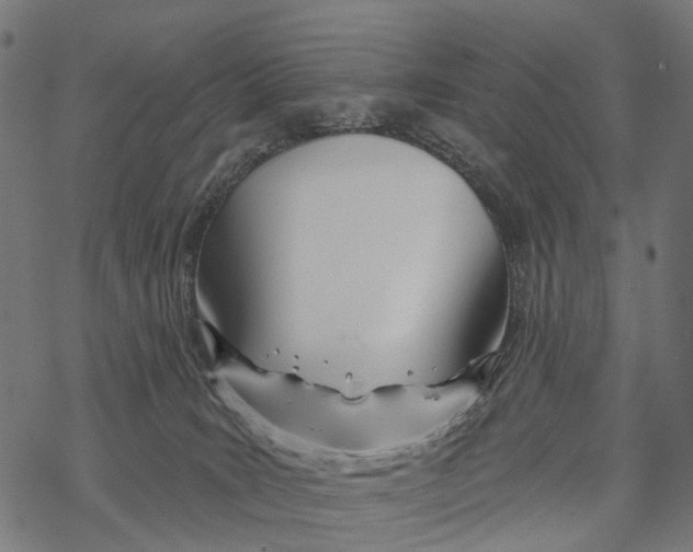 X0000067940035200605041811
