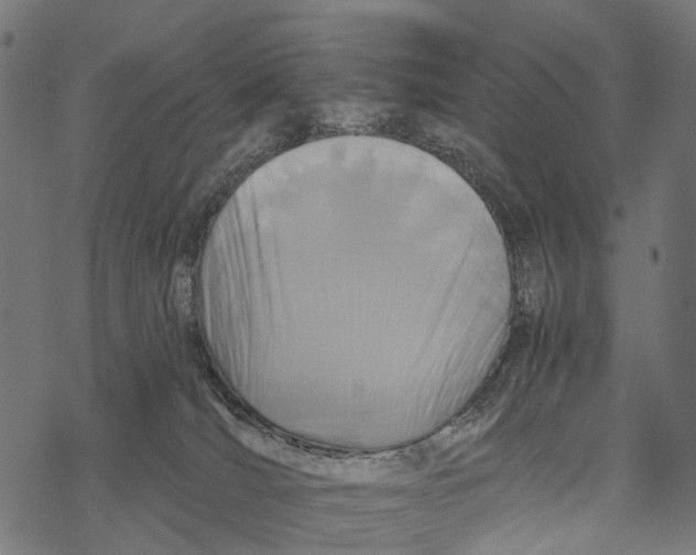 X0000067940036200605041811