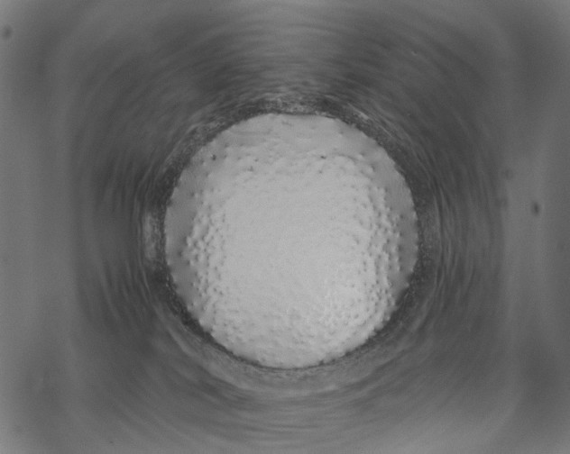 X0000067940038200605041811