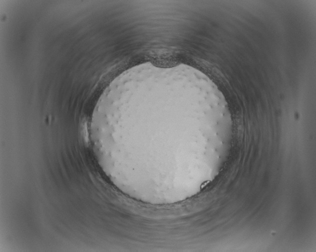 X0000067940042200605041811