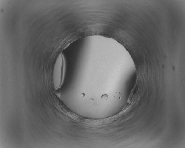 X0000067940045200605041811