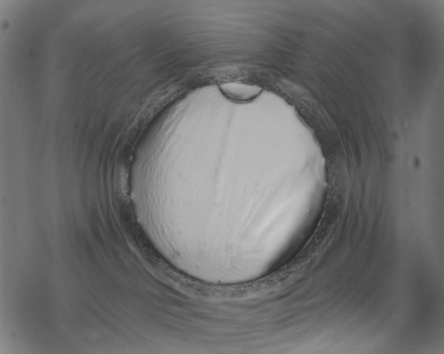 X0000067940046200605041811