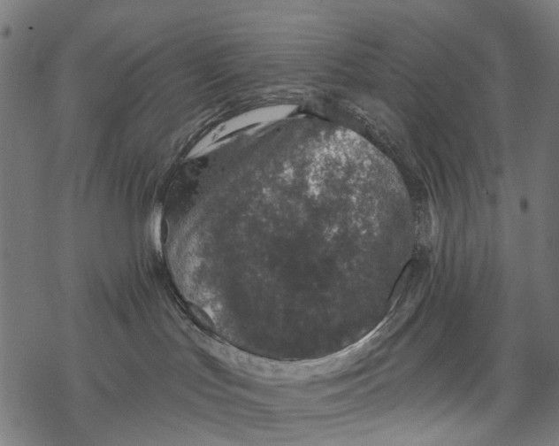 X0000067940047200605041811